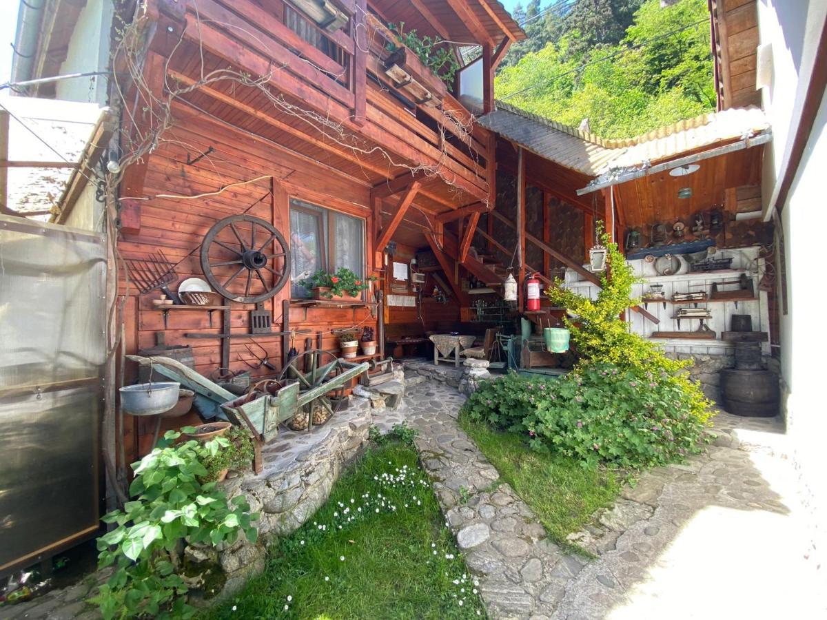 Pensiunea Mioritica Sibiel Exterior photo